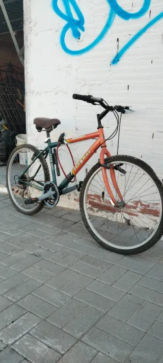 Bicicleta de Montaña Longway