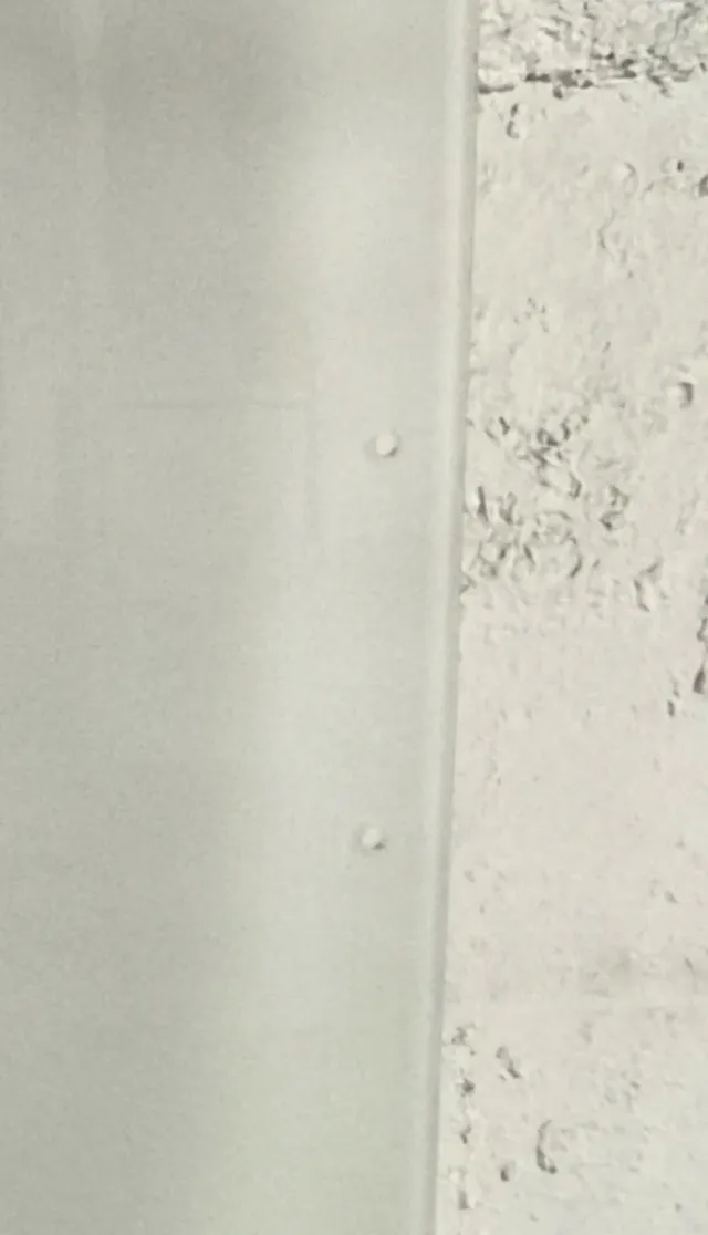 Puerta cristal templado translúcida