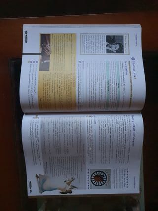 Lengua Castellana y Literatura 4º ESO. Libro de...