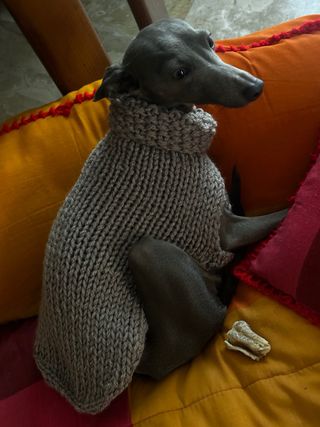 Maglioncino lana per cani taglia piccola