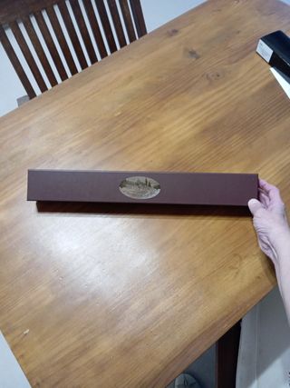 Varita Mágica Harry Potter