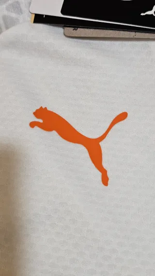 Sudadera Oficial Valencia CF Puma Talla L