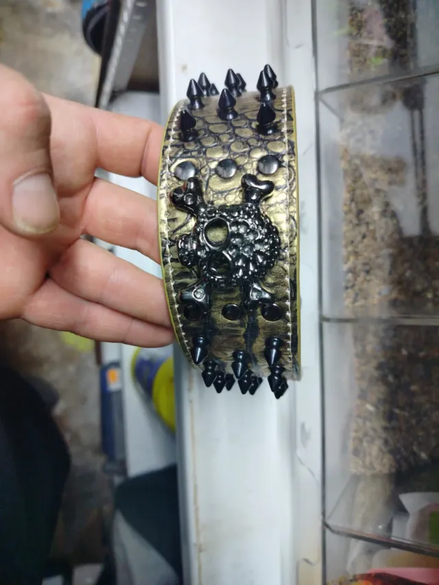 Collare Golden Skull per cani e spike