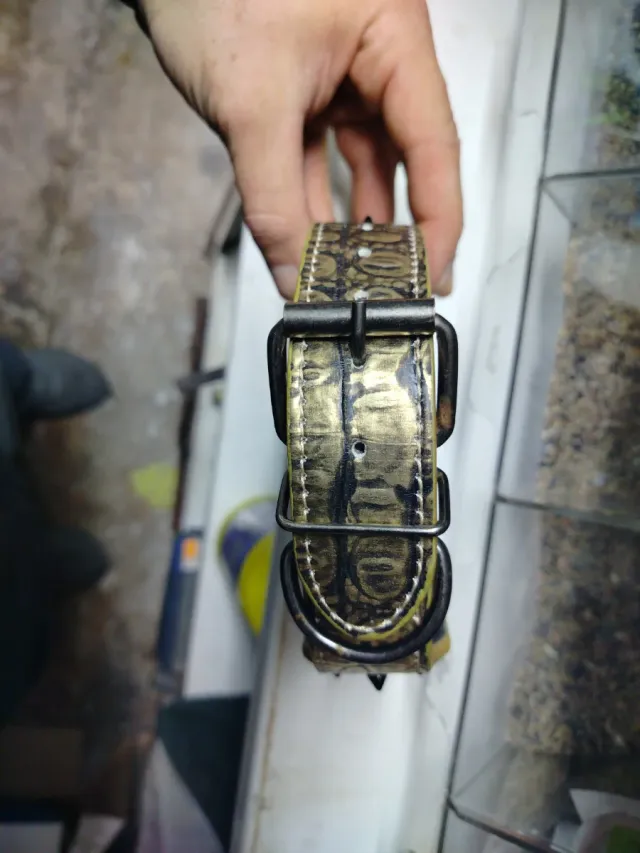 Collare Golden Skull per cani e spike