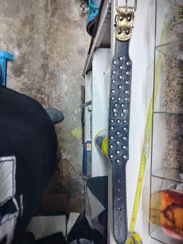 Collare Golden Skull per cani e spike