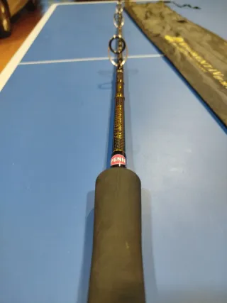 Caña Penn Regiment IV 2.10m 12/20lb nueva