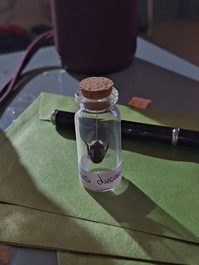 Botecito con insecto y etiqueta