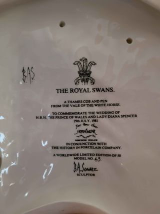 Pareja Cisnes Ashmore Worcestor England