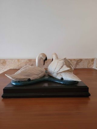 Pareja Cisnes Ashmore Worcestor England