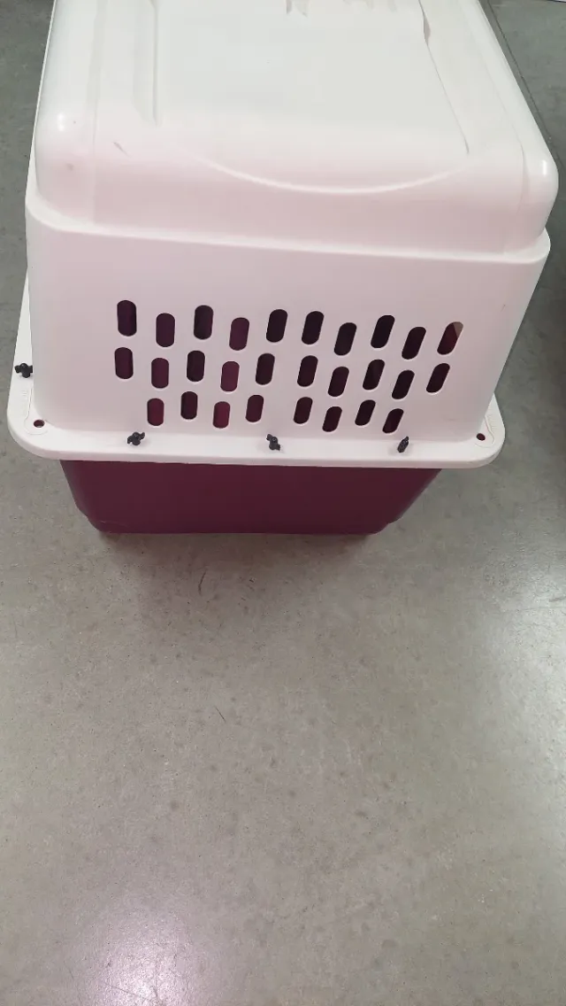 Transportín kennel perro grande beige/morado