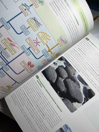 Biologia, 2 Batxillerat