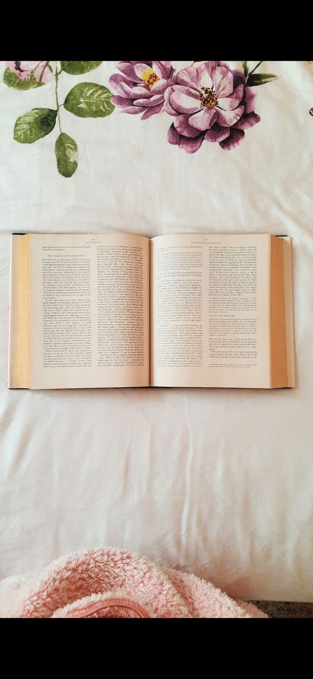 A Concise History of the American Republic