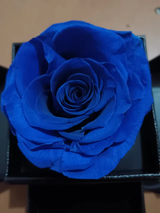 Rosa stabilizzata blu con ciondolo