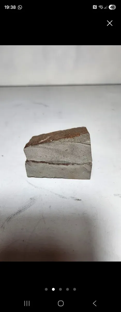 Fósil de mejillon en matriz natural, pieza partida