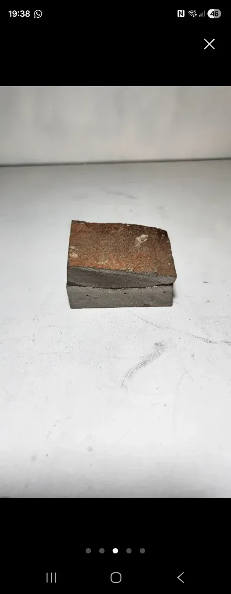 Fósil de mejillon en matriz natural, pieza partida