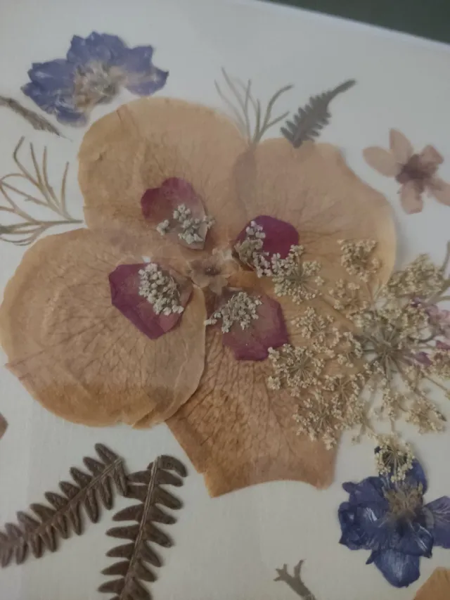 PITTURA VINTAGE DI FIORI SECCHI PRESSATI