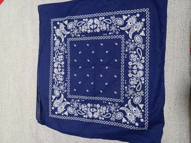 Pañuelos bandana estilo paisley
