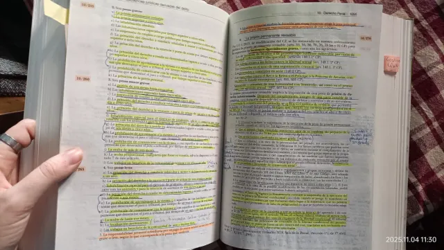 Manual-Practicum ejercicio de la abogacia 2019