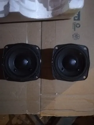 Coppia Altoparlanti Subwoofer e Tweeter