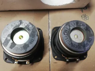 Coppia Altoparlanti Subwoofer e Tweeter