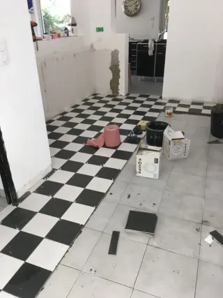 Alicatados y reformas en general