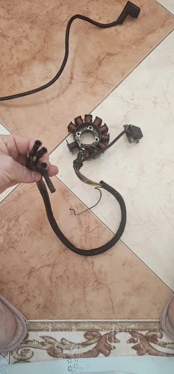 Estator Moto Kymco qannon 125cc