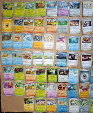 100 carte Pokémon + Latta Arcanine