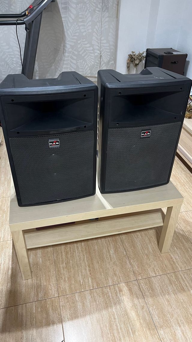 Pareja de Altavoces DAS DS 12