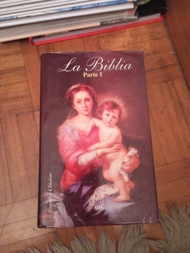 Lote de Gran diccionario Oxford gran d el salud er