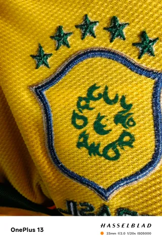 Camiseta Brasil Mundial 2010 Nike