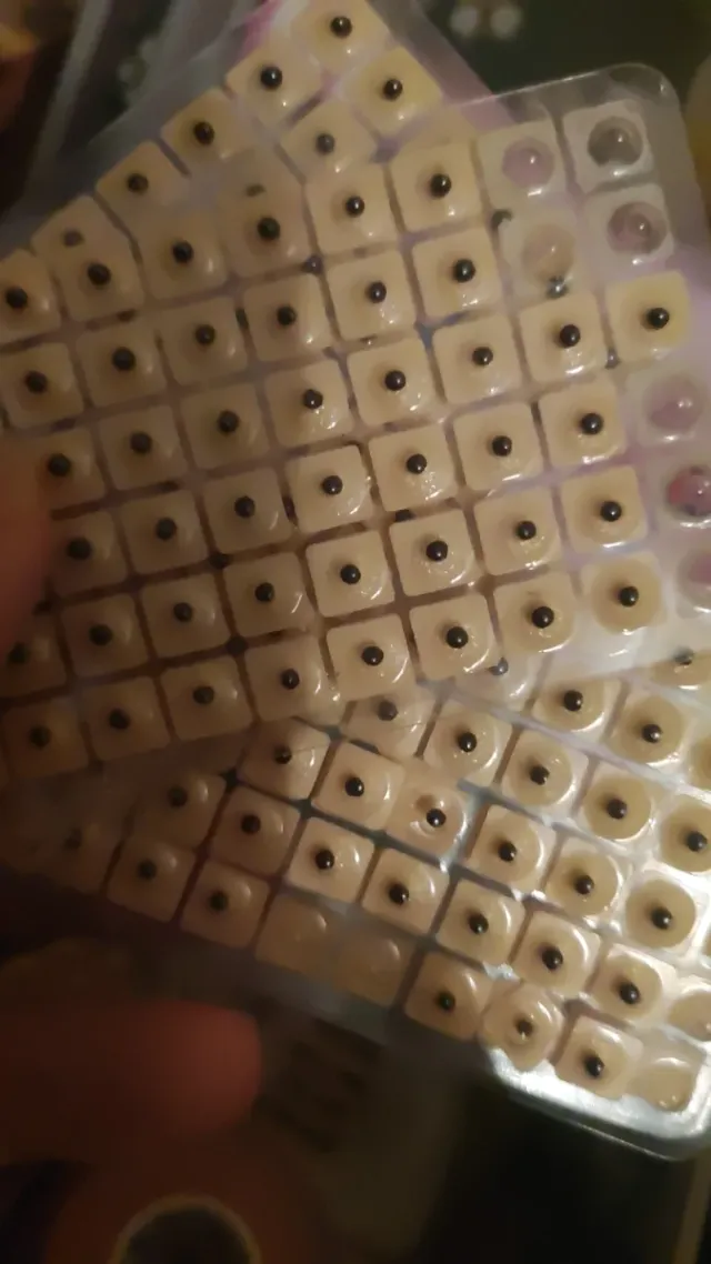 Material estética holística quiromasaje y camilla 