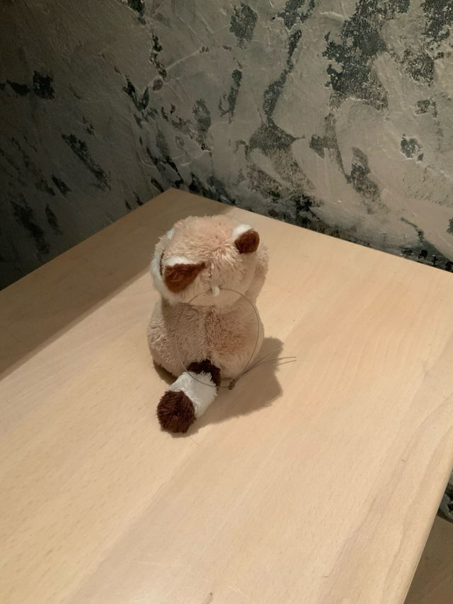 Peluche Trudi procione da collezione