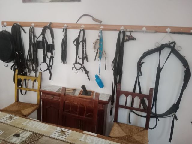 Apero para carro de caballos