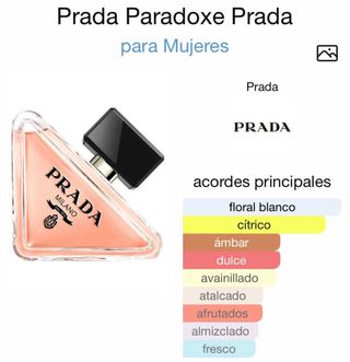 Perfume Le Chameau Parisian Memories