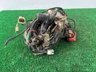 CABLEADO POLARIS PHOENIX