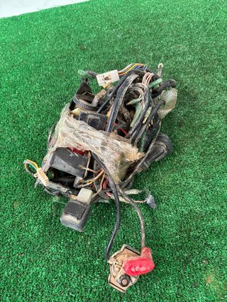 CABLEADO POLARIS PHOENIX