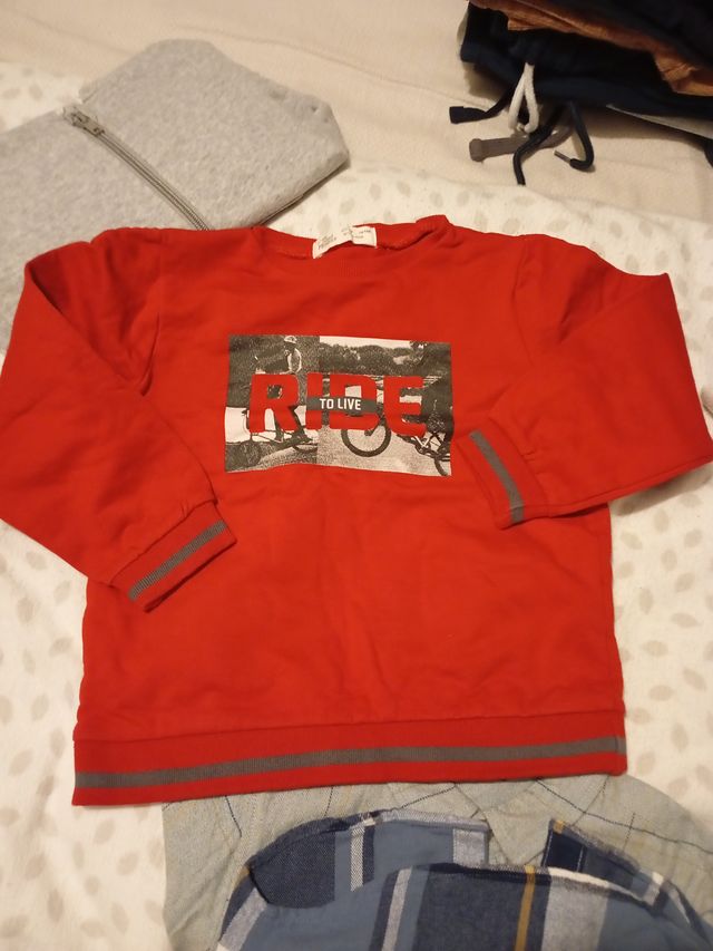 Lote Sudaderas Niño 3-4 Años Talla 104