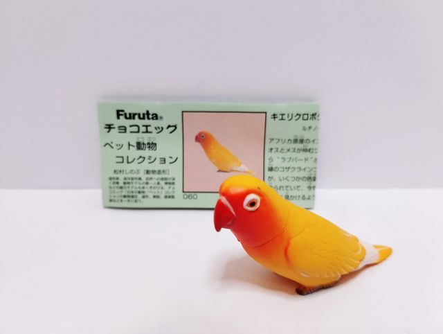 SET 5 pz Furuta Kaiyodo Pet Animal - Birds w/cards