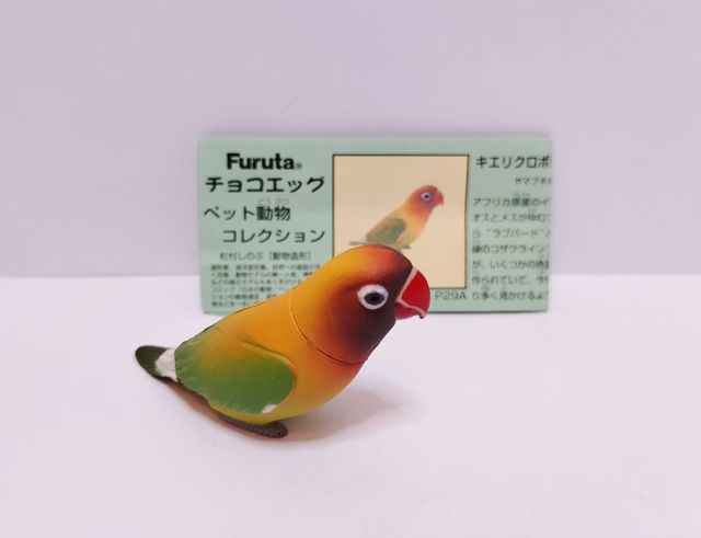 SET 5 pz Furuta Kaiyodo Pet Animal - Birds w/cards