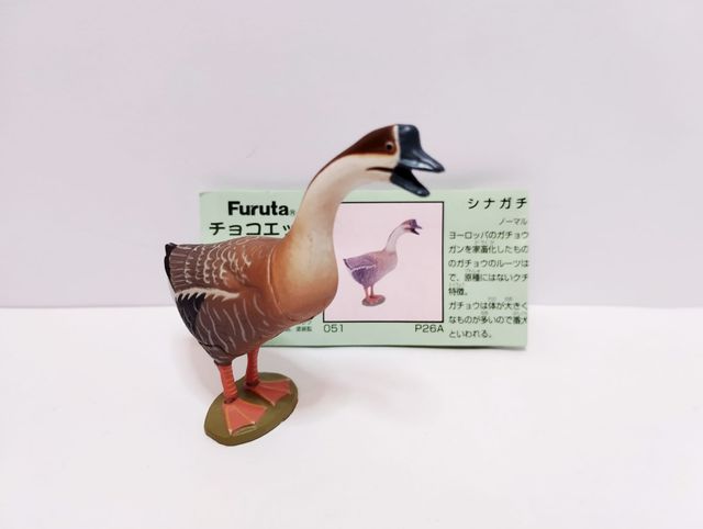 SET 5 pz Furuta Kaiyodo Pet Animal - Birds w/cards