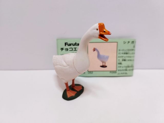 SET 5 pz Furuta Kaiyodo Pet Animal - Birds w/cards