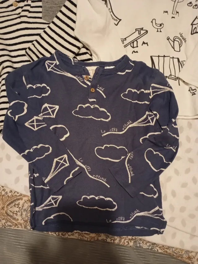 Lote 3 Camisetas Zara Niño 2-3 Años