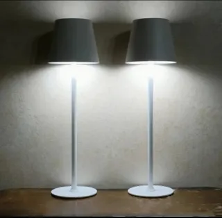 Coppia Lampade LED Design Moderno