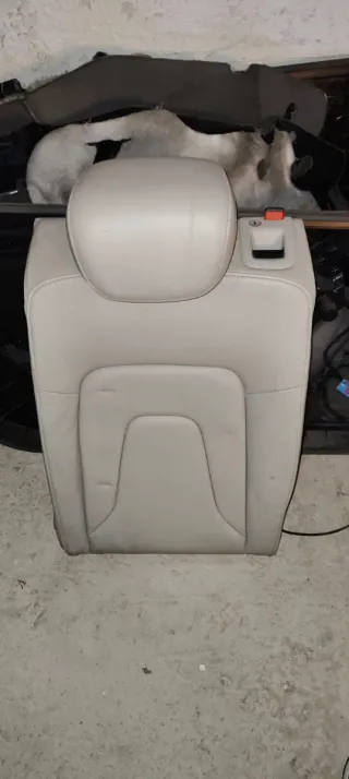Sedili in pelle Audi