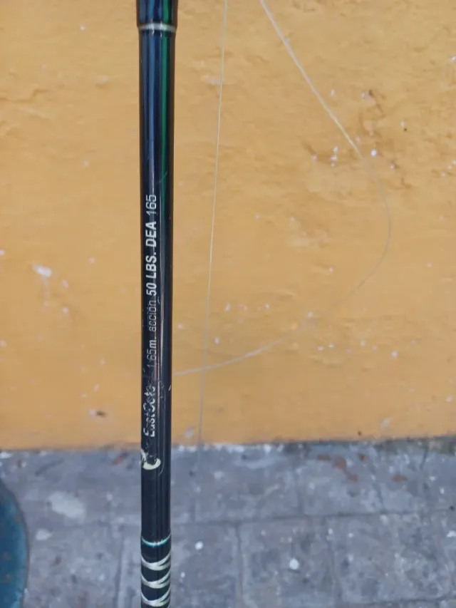 Lote 5 cañas de pescar