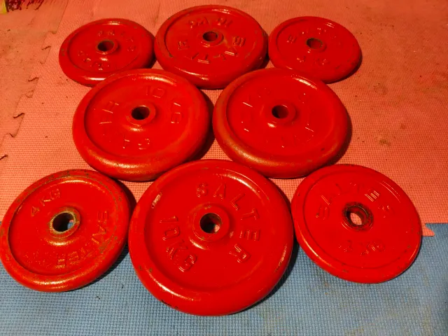 SARTER DISCOS PESAS 30 MM 56 KG