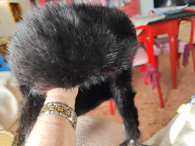 Colbacco pelliccia nero ecologica