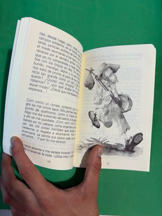 Nieve de julio - de Concha López Narváez