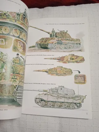 I carri armati Tiger Osprey Vanguard 20