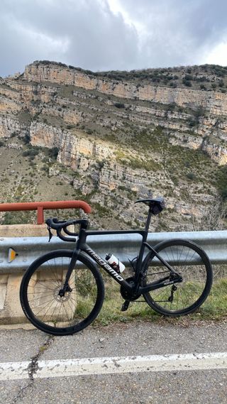 Megamo Pulse Elite 2024